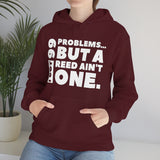 I Got 99 Problems...But A Reed Ain't One 5 - Hoodie