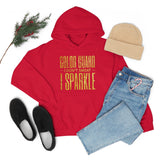 Color Guard - I Don't Sweat, I Sparkle 6 - Hoodie