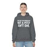 99 Problems - Pitch Ain't One 3 - Hoodie